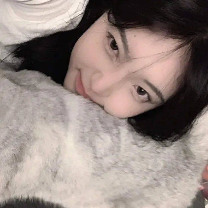郑板桥粤语 在线观看